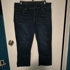 American Eagle Artist Crop Jeans